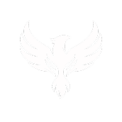 PHENYX COLLECTIVE